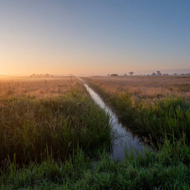 Hollanda 'da Giethoorn yakınlarındaki milli parktaki Weerribben Wieden arazisinde çimlerin üzerinde renkli bir gün doğumu.