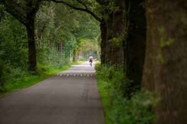 Kırmızı gömlekli adam Doetinchem yakınlarındaki Hollandalı achterhoek ormanında bisiklet sürüyor.
