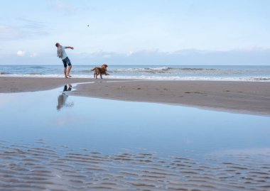 Wijk aan zee, Hollanda, 7 Eylül 2024: Hollanda 'nın kuzey sahilinde köpekle oynayan adam mavi gökyüzünün altında