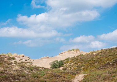 Mavi gökyüzü ve bulutlar Hollanda 'daki kuzey deniz sahillerinde marram çimleriyle kaplı kumulların üzerinde.