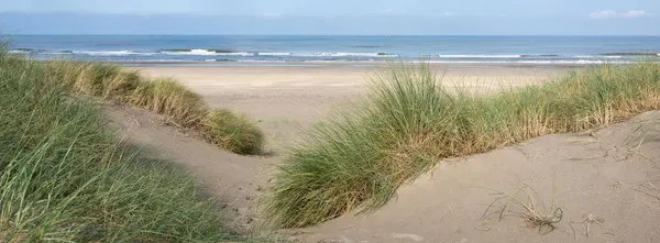 blue sky and clouds over dunes with marram grass at north sea beach in the netherlands