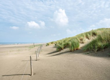 Mavi gökyüzü ve bulutlar Hollanda 'daki kuzey deniz sahillerinde marram çimleriyle kaplı kumulların üzerinde.