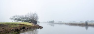 Hollanda 'nın Uttrecht ilinde amerongen yakınlarındaki fundalıklarla dolu nehir ren taşkın uçaklarında kışın doğa manzarası.