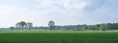 Baharda çimenli çayırlar ve ağaçlar utrechtse heuvelrug kapısının yanında