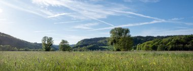 Almanya 'da Trier yakınlarında, ulusal park saar-hunsrueck' te, ağaçlarla ve nehir kıyısında çimenler var.