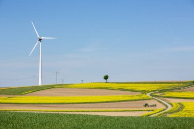İlkbaharda Lüksemburg 'un kuzeyinde kolza tohumu tarlaları arasında tarlada çalışan yeşil traktör.