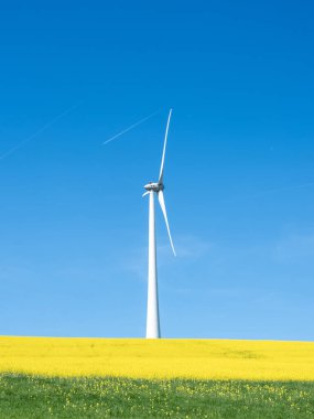 Baharda mavi gökyüzünün altında rüzgâr türbini bulunan Lüksemburg 'da tarım arazisi