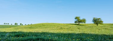 İlkbahar mevsimi çiçek, tarlaların taze renkleri ve Lüks kırsal kesimin yuvarlak tepelerindeki çayırlar gösteriyor.