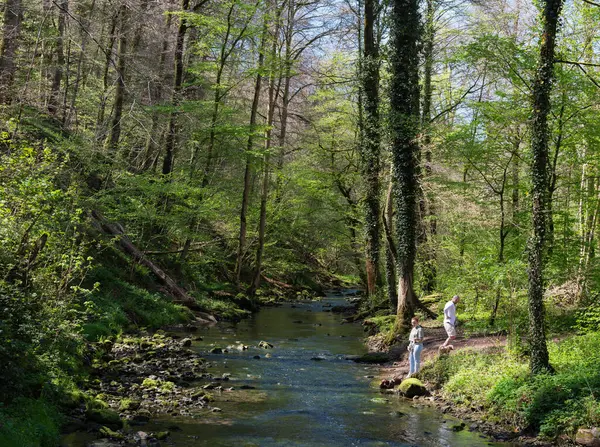 Muellertal, Lüksemburg, 29 Nisan 2025: Lüks Emburg 'da Muellertal' de akan nehirde köpekli bir çift