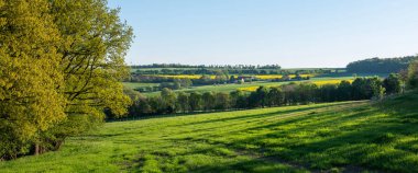 Alman doğa parkındaki ağaçların ve tarlaların taze bahar renkleriyle dolu kırsal alan mavi gökyüzünün altında saar-hunsrueck