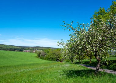 Doğa parkının güzel kırsal kesiminde baharda çiçeklenen meyve ağaçları ve mavi gökyüzünün altında taze renkler görülür.