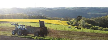 Traktördeki çiftçi, çayırın yakınındaki tarlayı gübreledi. İlkbahar kırsalında Alman yılan balığı, tecavüz tohumu, tarla ve ormanla birlikte gün batımında.