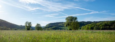 Almanya 'da Trier yakınlarında, ulusal park saar-hunsrueck' te, ağaçlarla ve nehir kıyısında çimenler var.