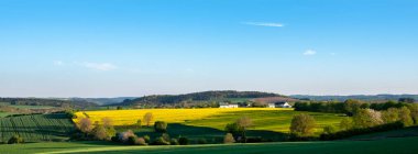 Almanya 'da süveyş tarlalarının kırsal kesimlerinde kolza tohumu tarlalarının hakim olduğu bahar ağaçlarının taze renkleri