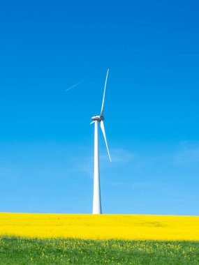 Baharda mavi gökyüzünün altında rüzgâr türbini bulunan Lüksemburg 'da tarım arazisi