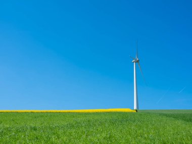 Baharda mavi gökyüzünün altında rüzgâr türbini bulunan Lüksemburg 'da tarım arazisi