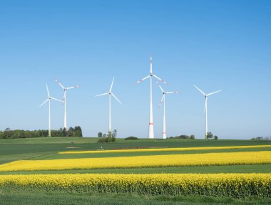 Alman kırsalında rüzgar türbinleri ve mavi gökyüzünün altındaki kolza tohumu tarlaları baharda gün batımında saarland 'da.