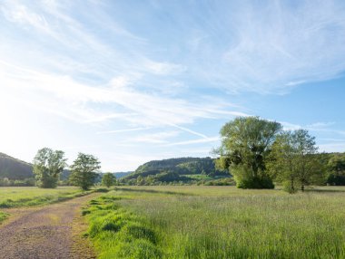 Almanya 'da Trier yakınlarında, ulusal park saar-hunsrueck' te, ağaçlarla ve nehir kıyısında çimenler var.