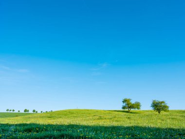 İlkbahar mevsimi çiçek, tarlaların taze renkleri ve Lüks kırsal kesimin yuvarlak tepelerindeki çayırlar gösteriyor.
