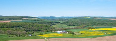 Lüksemburg 'da Reisdorf yakınlarında karahindiba ve kolza tohumu rengi sarısı tarlalar