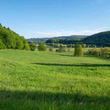 Almanya 'da Trier yakınlarında, ulusal park saar-hunsrueck' te, ağaçlarla ve nehir kıyısında çimenler var.