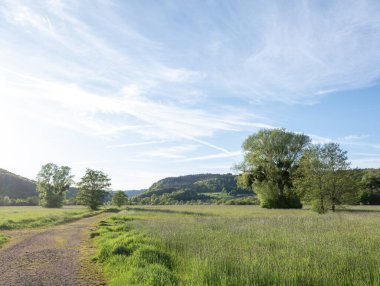 Almanya 'da Trier yakınlarında, ulusal park saar-hunsrueck' te, ağaçlarla ve nehir kıyısında çimenler var.
