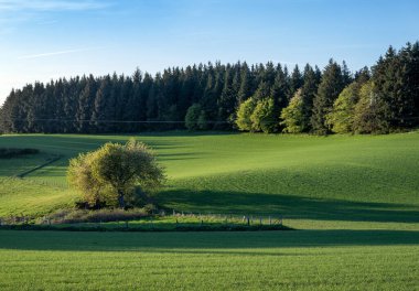 Kırsal alan, ağaçlar ve tarlalar üzerinde taze bahar renkleri olan mavi gökyüzünün altında, eifelin Almanca doğası.