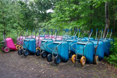 Islak ormanda kullanılmayı bekleyen bir sürü parlak mavi ve pembe tekerlek tekeri var.