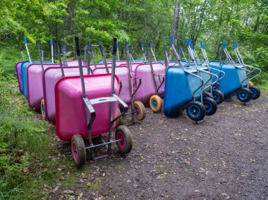 Islak ormanda kullanılmayı bekleyen bir sürü parlak mavi ve pembe tekerlek tekeri var.