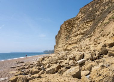 Sahilde, Dorset 'in güneyindeki Eype adasındaki kayalıkların yanında bir adam.