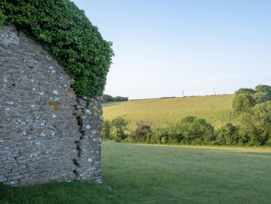 Güney İngiltere 'nin kırsal kesimindeki çimenli tepelerde ve ağaçlarda güneş parlıyor.