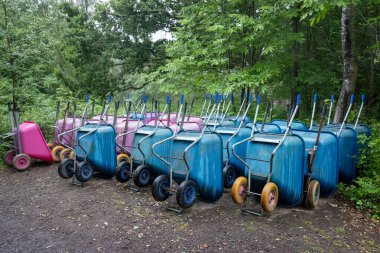 Islak ormanda kullanılmayı bekleyen bir sürü parlak mavi ve pembe tekerlek tekeri var.