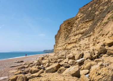 Sahilde, Dorset 'in güneyindeki Eype adasındaki kayalıkların yanında bir adam.