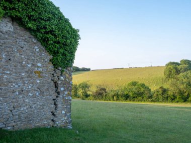 Güney İngiltere 'nin kırsal kesimindeki çimenli tepelerde ve ağaçlarda güneş parlıyor.