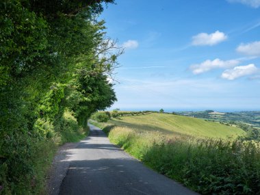 Beyaz bulutlar ve mavi gökyüzü dorset köy yolu üzerinde yaz günü çiçekler ve tarlalarla