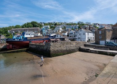 Polruan, İngiltere, 17 Haziran 2025: Cornwall 'da Polruan Limanı' nda insan ve köpek