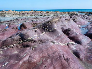Güney kıyısındaki kayalar mavi gökyüzünün altında Cornwall 'da