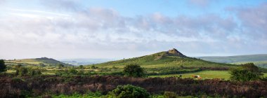 Küçük bir inek sürüsü, Devon 'daki ulusal doğa koruma alanındaki güzel bozkırda otluyor.