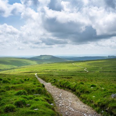 İlkbaharın sonlarında mavi gökyüzünün altındaki Dartmoor Ulusal Parkı 'nda rahibe çiftliği yakınlarında yürüyüş pisti.