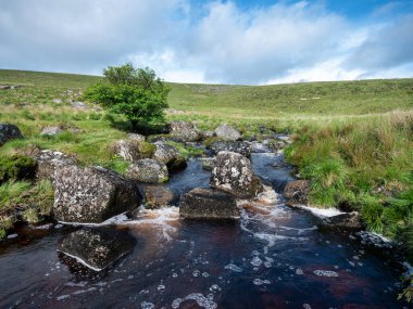 İngiltere 'deki Ulusal Park Dartmoor tepeler, traktörler ve akarsularla harika bir doğa koruma alanıdır.