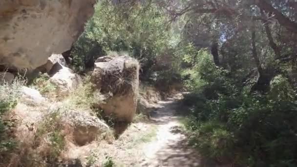 Yürürken Yürürken Kanyonda Yürürken Pov Yürüme Videosu Aksaray Daki Hlara — Stok video