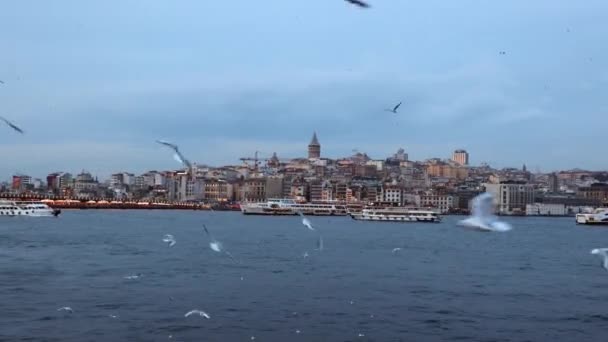 Vista Estambul Desde Ferry Con Gaviotas Torre Galata Fondo Viajar — Vídeos de Stock