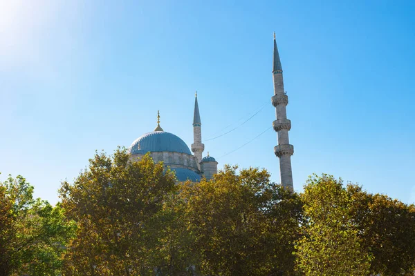 Eminonu Yeni Cami New Mosque Autumn Colored Trees Mosques Istanbul — Stock Photo, Image