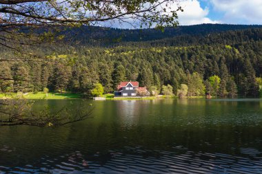 Bolu Golcuk Doğa Parkı ve ünlü göl evi. Bolu Türkiye - 5.15.2022