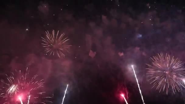 Havai Fişek Gösterisi Yeni Yıl Kutlaması Temmuz Arka Plan Videosu — Stok video