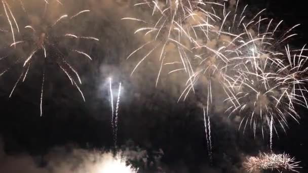 Kembang Api Menunjukkan Untuk Perayaan Tahun Baru Atau Juli Fireworks — Stok Video