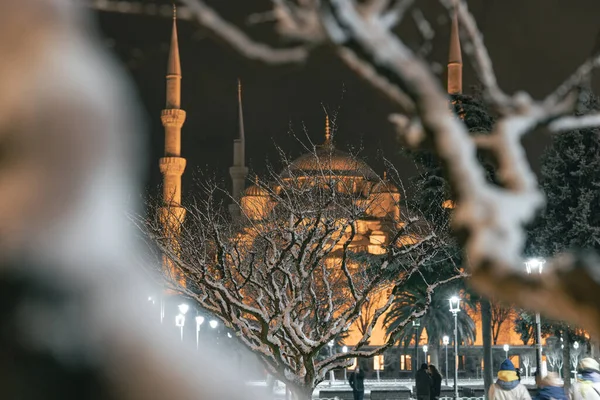Sultanahmet Mešita Sníh Zakryl Větve Stromu Istanbul Zimě Istanbul Turkiye — Stock fotografie