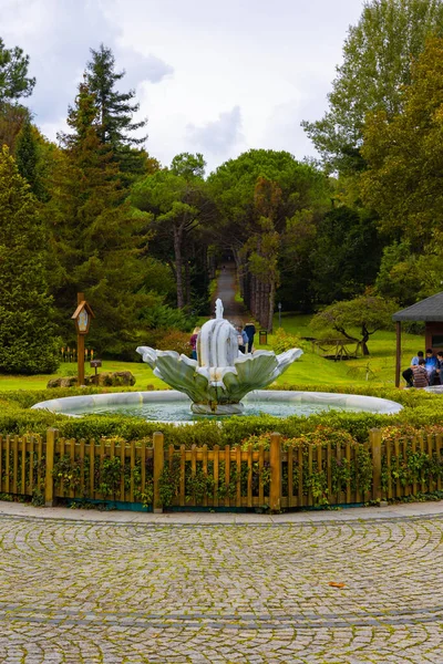 Ataturk Arboretum Pond Ataturk Arboretum Sariyer Istanbul Istanbul Turkiye 2021 — Stock Photo, Image