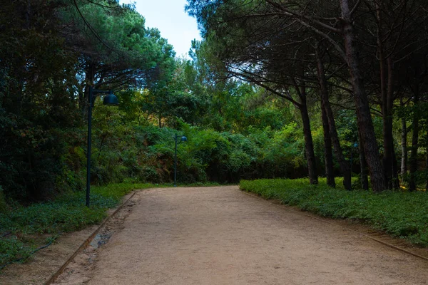 Hiking Jogging Trail Forest Healthy Lifestyle Concept Photo Ataturk City — Stock Photo, Image