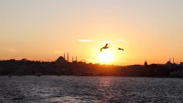 Vista Estambul Atardecer Silueta Estambul Con Gaviotas Desde Ferry Bosphorus — Vídeos de Stock